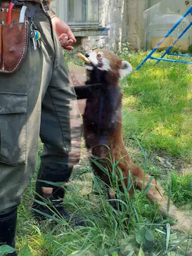 天王寺動物園に投稿された画像（2022/5/2）