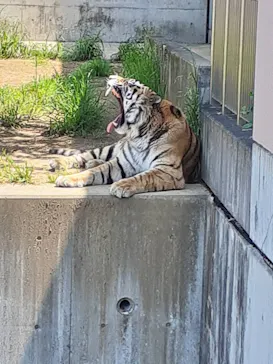 天王寺動物園に投稿された画像（2022/5/2）