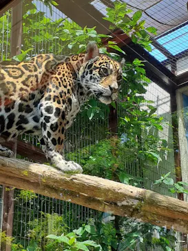 天王寺動物園に投稿された画像（2022/5/2）