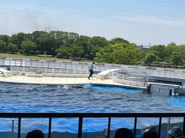 京都水族館に投稿された画像（2022/5/2）
