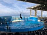新江ノ島水族館に投稿された画像（2022/5/2）