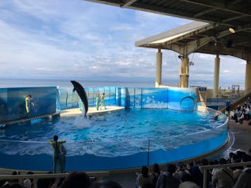 新江ノ島水族館に投稿された画像（2022/5/2）