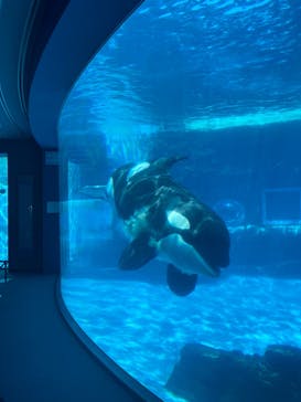 名古屋港水族館に投稿された画像（2022/5/2）