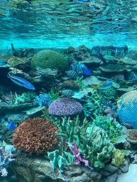 名古屋港水族館に投稿された画像（2022/5/2）