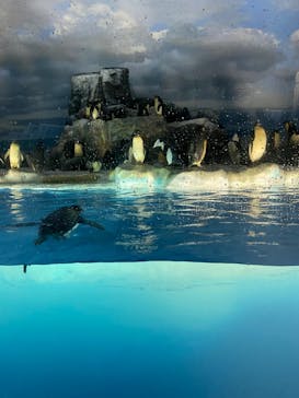 名古屋港水族館に投稿された画像（2022/5/2）