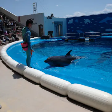 仙台うみの杜水族館に投稿された画像（2022/5/2）