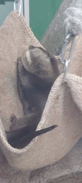 新江ノ島水族館に投稿された画像（2022/5/2）