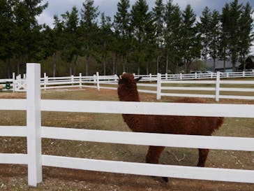 牧歌の里に投稿された画像（2022/5/2）