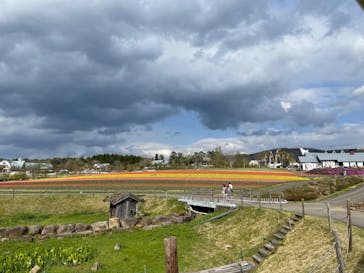 牧歌の里に投稿された画像（2022/5/2）