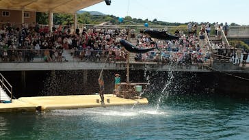 伊豆・三津シーパラダイスに投稿された画像（2022/5/2）
