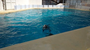 伊豆・三津シーパラダイスに投稿された画像（2022/5/2）