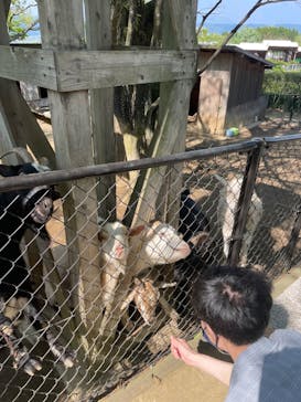 阿蘇カドリー・ドミニオンに投稿された画像（2022/5/2）