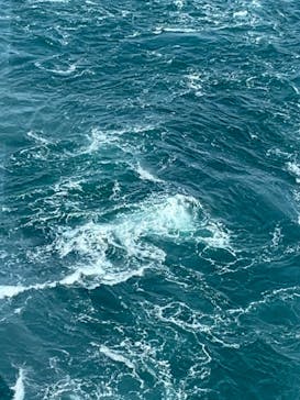 徳島県立 渦の道に投稿された画像（2022/5/2）