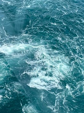 徳島県立 渦の道に投稿された画像（2022/5/2）