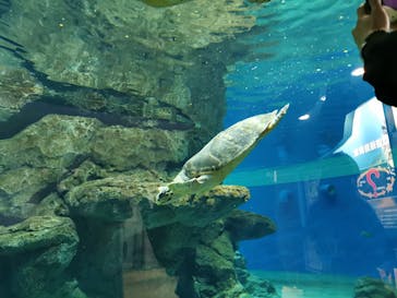 名古屋港水族館に投稿された画像（2022/5/2）