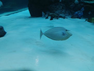 名古屋港水族館に投稿された画像（2022/5/2）