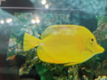 名古屋港水族館に投稿された画像（2022/5/2）