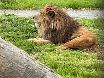 那須サファリパークに投稿された画像（2022/5/2）