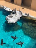 アクアワールド茨城県大洗水族館に投稿された画像（2022/5/2）