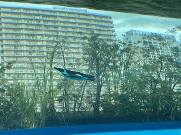 サンシャイン水族館に投稿された画像（2022/5/2）