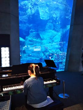 大分マリーンパレス水族館 「うみたまご」に投稿された画像（2022/5/2）