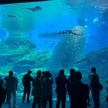 仙台うみの杜水族館に投稿された画像（2022/5/2）
