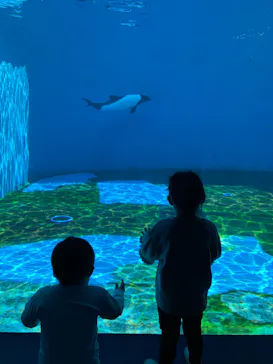 仙台うみの杜水族館に投稿された画像（2022/5/2）