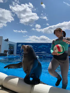 仙台うみの杜水族館に投稿された画像（2022/5/2）