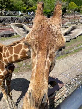 伊豆アニマルキングダムに投稿された画像（2022/5/2）