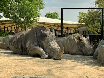 姫路セントラルパークに投稿された画像（2022/5/2）