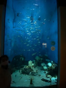 城崎マリンワールドに投稿された画像（2022/5/2）