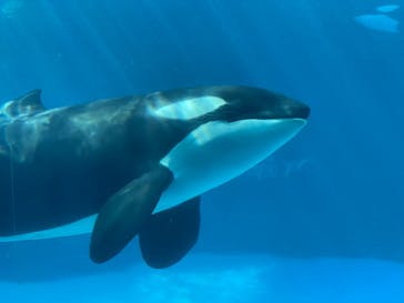 名古屋港水族館に投稿された画像（2022/5/2）