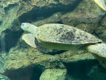 名古屋港水族館に投稿された画像（2022/5/2）