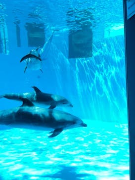 名古屋港水族館に投稿された画像（2022/5/2）