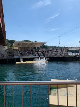 伊豆・三津シーパラダイスに投稿された画像（2022/5/2）