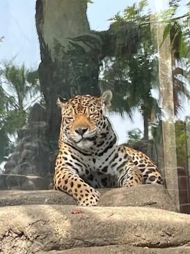 天王寺動物園に投稿された画像（2022/5/2）
