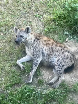 天王寺動物園に投稿された画像（2022/5/2）
