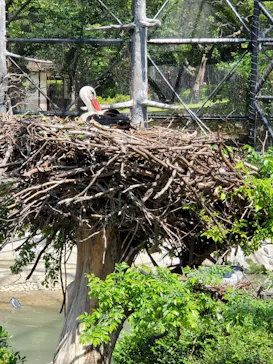 天王寺動物園に投稿された画像（2022/5/2）