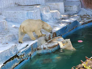 天王寺動物園に投稿された画像（2022/5/2）