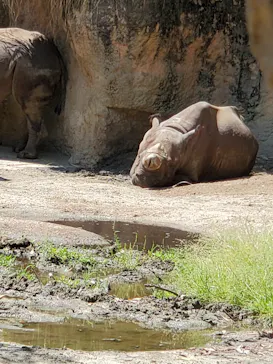 天王寺動物園に投稿された画像（2022/5/2）