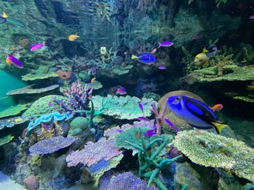 サンシャイン水族館に投稿された画像（2022/5/2）