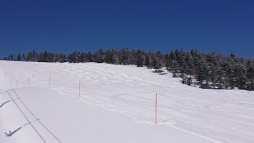 志賀高原マウンテンリゾートに投稿された画像（2022/5/2）