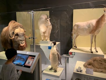 国立科学博物館に投稿された画像（2022/5/2）