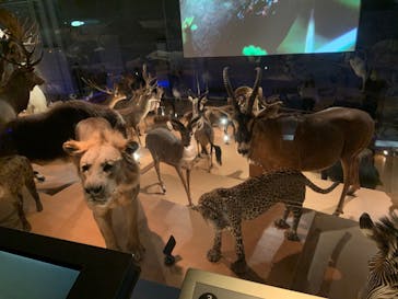 国立科学博物館に投稿された画像（2022/5/2）