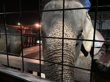 那須サファリパークに投稿された画像（2022/5/2）