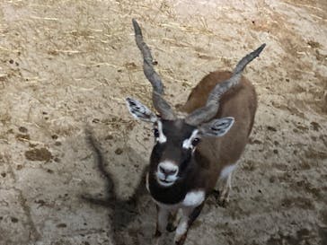 那須サファリパークに投稿された画像（2022/5/2）