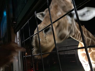 那須サファリパークに投稿された画像（2022/5/2）