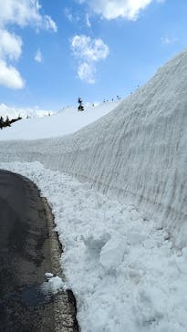 横手山・渋峠スキー場に投稿された画像（2022/5/2）