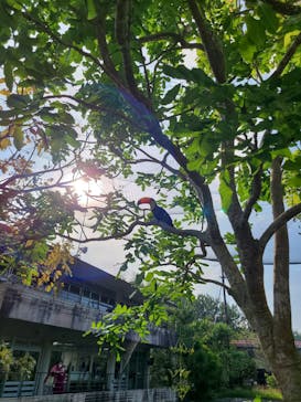 ネオパークオキナワに投稿された画像（2022/5/2）