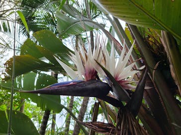 ネオパークオキナワに投稿された画像（2022/5/2）